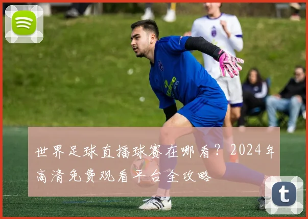 世界足球直播球赛在哪看?2024年高清免费观看平台全攻略