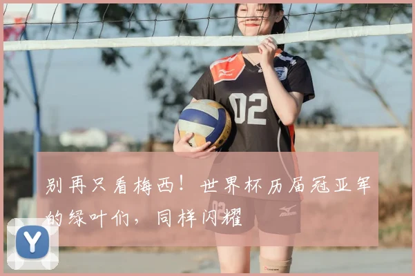 别再只看梅西!世界杯历届冠亚军的绿叶们,同样闪耀